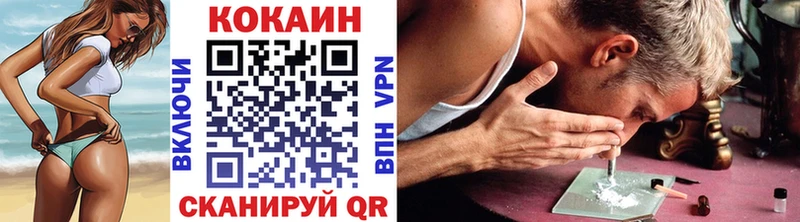 Кокаин FishScale  где купить   сайты даркнета состав  Саки 