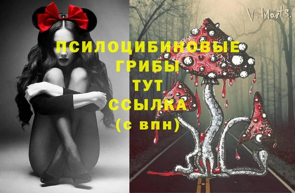 амф Каменск-Шахтинский