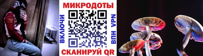 где найти наркотики  Саки  Псилоцибиновые грибы GOLDEN TEACHER 