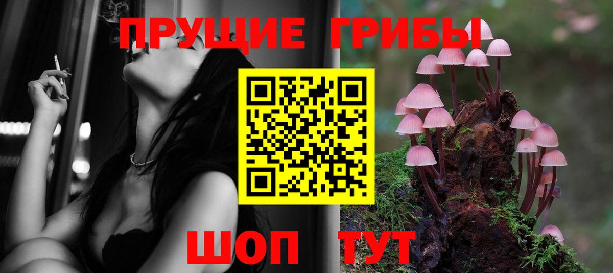 Саки  Псилоцибиновые грибы мицелий  Вход с VPN 