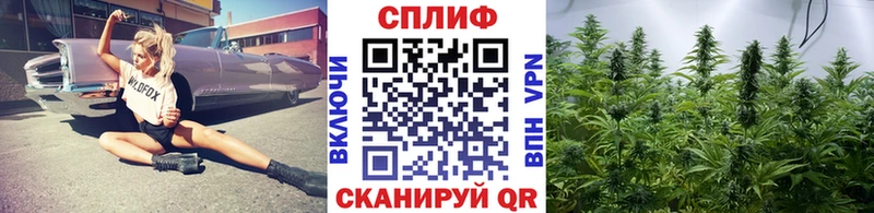 мега ONION  сайты даркнета какой сайт  МАРИХУАНА THC 21%  Саки 